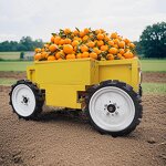 All Terrain Vehicle Factory - 4WD 500kg New Model