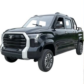 Electric Pickup Truck Factory - 4x4 4-Seater Left Hand