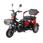 Electric Tricycle Factory - 3 People Cargo Transport Custom