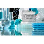 Microporous Filtration Membrane Manufacturer - OEM 0.45um 47mm SDI Test