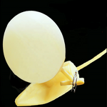 Latex Sampling Bladder Manufacturer - OEM Laboratory Gas Sampling Enema Ball