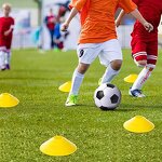 Soccer Training Kit - OEM Agility Ladder & Cones Set Supplier
