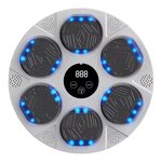 Smart Boxing Machine - OEM Interactive Electronic Target Factory