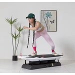 Balance Surfing Board - OEM Indoor/Outdoor Surf Trainer Factory