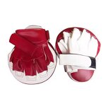 Boxing Focus Mitts - OEM Customizable Training Hand Pads Factory
