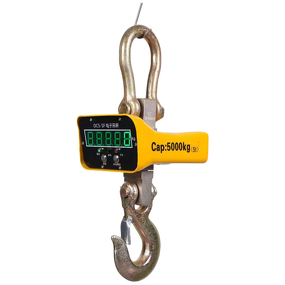 Digital Crane Scale Supplier - Heavy Duty 10T Industry Lifting Hanging Digital Scale