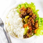 Wholesale Gluten-Free Konnyaku Shirataki Rice Keto-Friendly Snacks Ready Meals Dietary Fiber New Smellless Instant Rice Weight