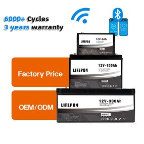 Lithium Battery Manufacturer - OEM Solid State 12V/24V 50-300Ah Home Energy Storage