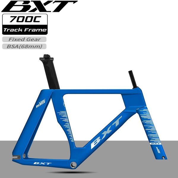 Track Bike Frame Manufacturer - OEM 2025 T1000 Carbon Fixed Gear Track Frameset