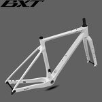 Gravel Bike Frame Manufacturer - OEM UDH Carbon Fully Hidden Cable Carbon Frame