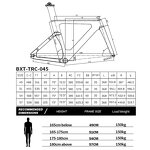 Track Bike Frame Manufacturer - OEM Carbon 700C Fixed Gear Track Racing Frame