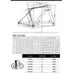 Road Bike Frame Manufacturer - OEM EVO-155 Carbon Disc T47 Di2 Internal Routing