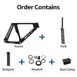 Track Bike Frame Manufacturer - OEM 700C Fixed Gear TRC-195 Carbon Track Frame