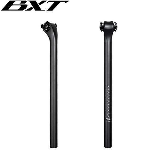 Carbon Seatpost Manufacturer - OEM SP-012 27.2mm 400mm Mountain Bike