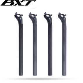 Carbon Bicycle Seatpost Manufacturer - OEM SP-006 27.2/31.6mm Factory Wholesale