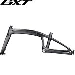 Folding Bike Frame Manufacturer - OEM 20inch Carbon T1000 Disc Brake BSA