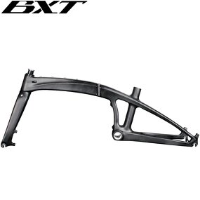 Folding Bike Frame Manufacturer - OEM 20inch Carbon T1000 Disc Brake BSA