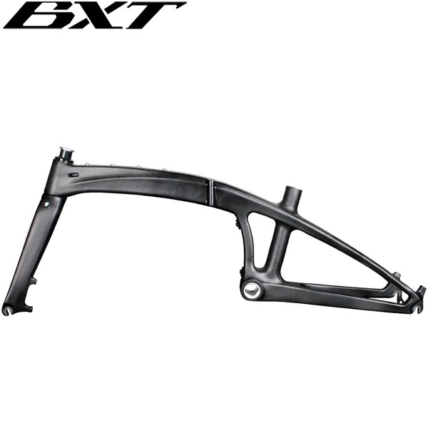 Folding Bike Frame Manufacturer - OEM 20inch Carbon T1000 Disc Brake BSA