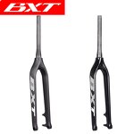 MTB Fork Manufacturer - OEM 29er Carbon Thru Axle 10015mm Mountain Bike Fork