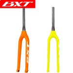 MTB Fork Manufacturer - OEM 29er Carbon Thru Axle 10015mm Mountain Bike Fork