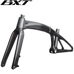 Folding Bike Frame Manufacturer - OEM 20inch Carbon T1000 Disc Brake BSA