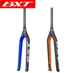 MTB Fork Manufacturer - OEM 29er Carbon Thru Axle 10015mm Mountain Bike Fork