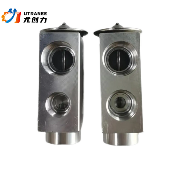 Utranee Auto AC Expansion Valve Factory - Good Price for Santana 3000