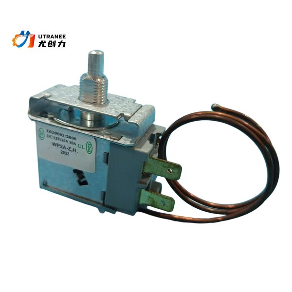 Auto AC Thermostat Manufacturer - High-precision 12V/24V Temperature Controller