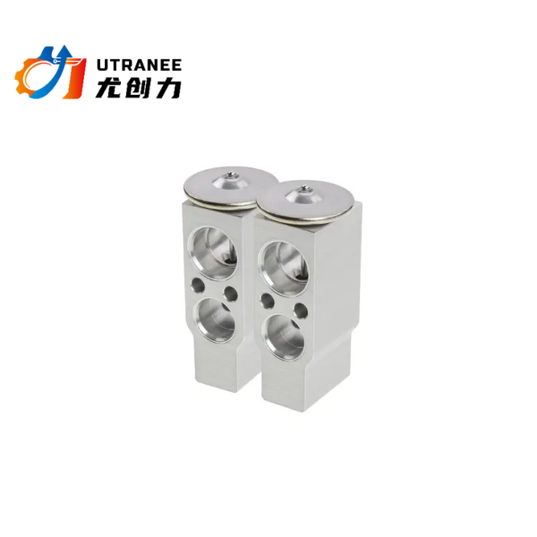 Utranee Auto AC Expansion Valve Manufacturer - For Honda OEM