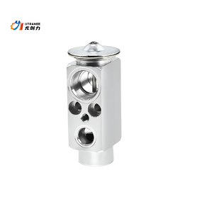 AC Expansion Valve Factory - For Mercedes Benz S203 CL203 W203