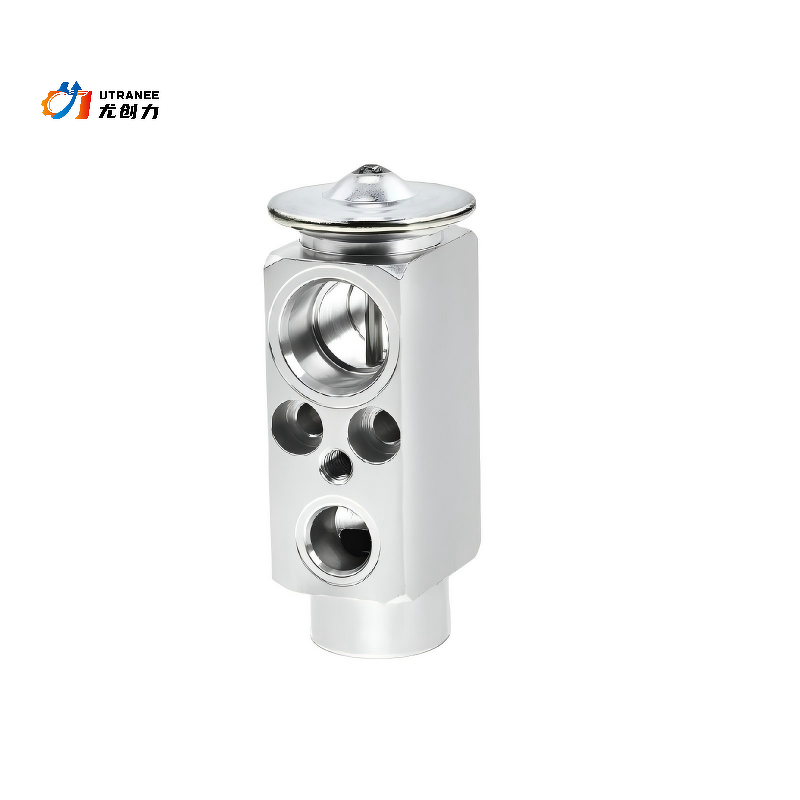 AC Expansion Valve Factory - For Mercedes Benz S203 CL203 W203