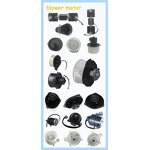 Blower Motor Fan Factory - Direct NEW for Automotive AC Systems