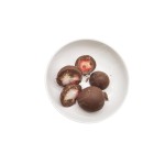 Strawberry Chocolate - OEM Private Label Cocoa Flavor Candy
