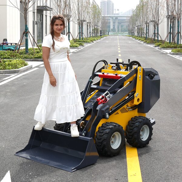 Mini Skid Steer Loader Supplier - EURO 5 Diesel Crawler Loader