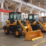 Small Loader Supplier - Engineering Construction Multi-purpose