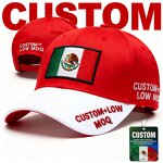 Mexican Flag Baseball Cap Factory - Embroidered Independence Day Hat 20 Years