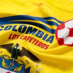 Colombia World Cup Fan Items Manufacturer - Must Haves for Football Fever