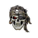 Skeleton Iron on Patches Manufacturer - Cool Skull Sticker Heat Transfer Decoration