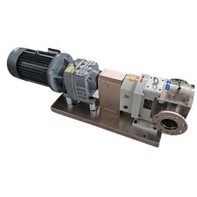 Stainless Steel Rotor Manufacturer - Rotary Lobe Pump Injection Rotor