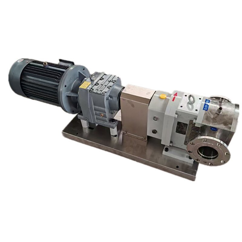 Stainless Steel Rotor Manufacturer - Rotary Lobe Pump Injection Rotor