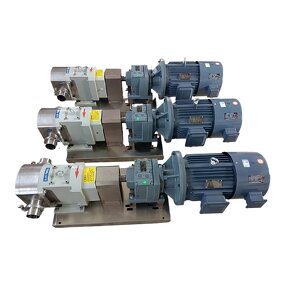 Rotor Pump Supplier - High Viscosity Liquid Transfer Filling