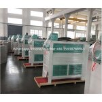 Rice Mill Polisher Manufacturer - 2 T/h Capacity Net Water Polisher