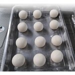 Bread Dough Rolling Machine Supplier - Steamed Bun Forming Machine