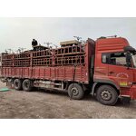 Electric Platform Truck Manufacturer - 4 Wheel 1 Ton Battery Cargo Cart