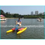 Water Swan Boat Supplier - FRP 4 Person Pedal Boat for Sale