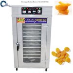 Peanut Roasting Machine Factory - Commercial Drum Rotary Nut Roaster