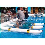 Pedal Boat Factory - Trade Assurance Factory Price Water Used