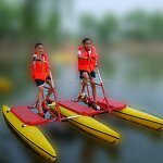 Pedal Water Bicycle Factory - Durable PE Material Adult Bike