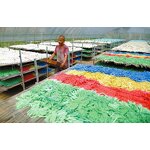 Fertilizer Granulator Manufacturer - Urea N46% Disc Pelletizer Machine