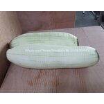 Coconut Peeler Manufacturer - Automatic Brown Skin Peeling Machinery